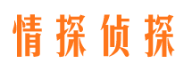 江城调查公司